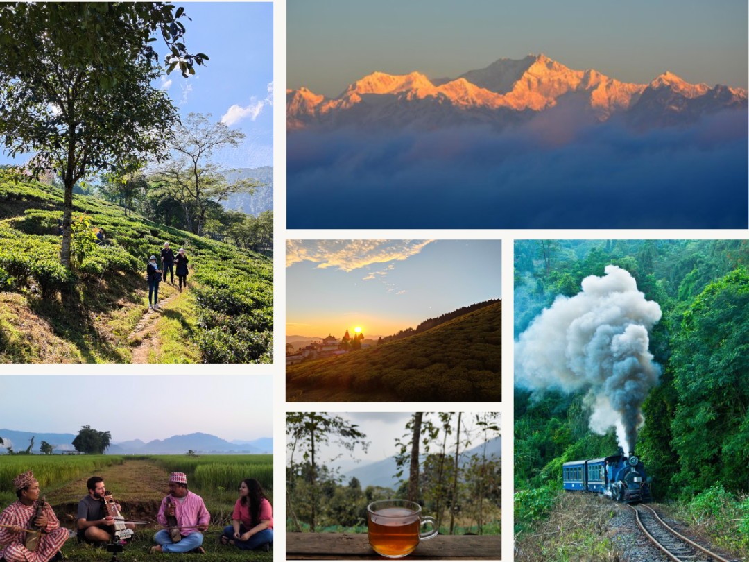 Darjeeling – tales of tea, architecture, history and unbridled adventure!